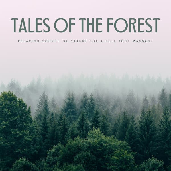 Tales Of The Forest: Relaxing Sounds Of Nature For A Full Body Massage - Spa Music Lounge