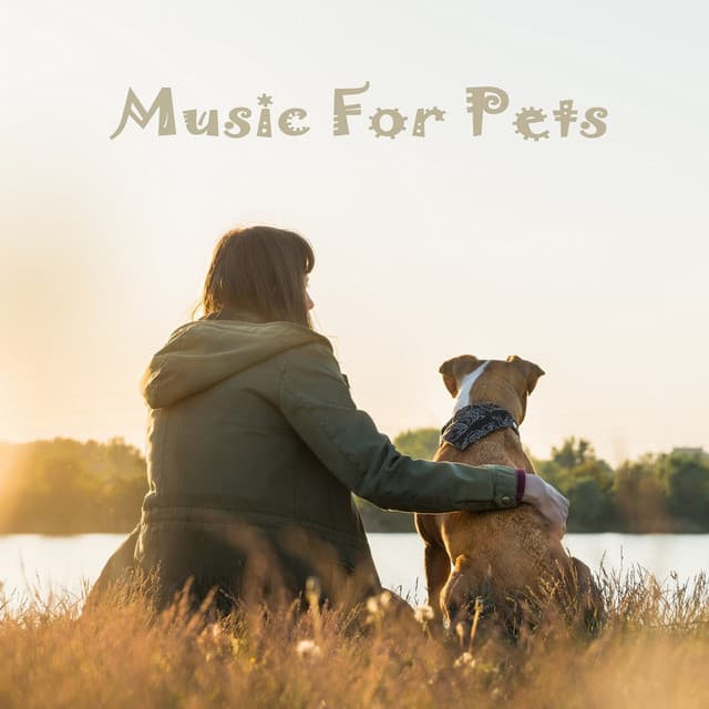 Music for Companion Animals: Pleasant Walking Vol. 1 - Music For Pets