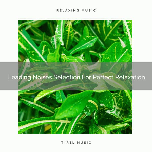 Leading Noises Selection For Perfect Relaxation - Water Sound Natural White Noise / White Noise for Babies