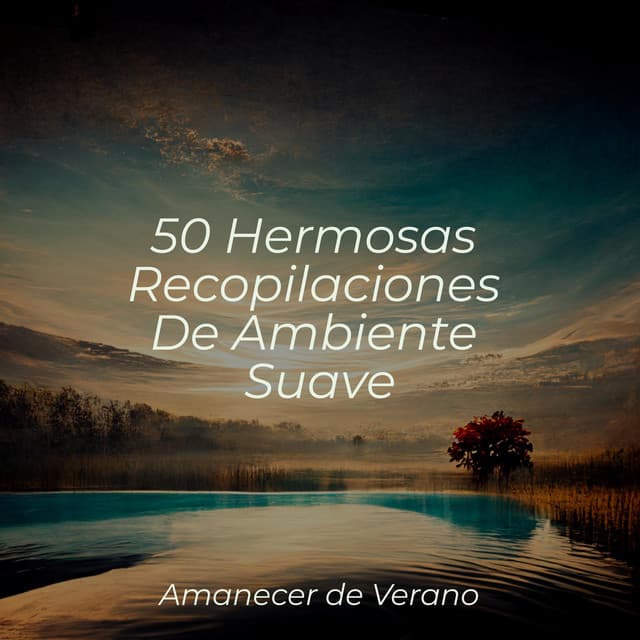 50 Hermosas Recopilaciones De Ambiente Suave - Children's Music