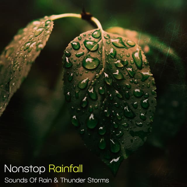 Nonstop Rainfall - Sounds Of Rain & Thunder Storms