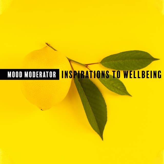 Mood Moderator. Inspirations to Wellbeing - Little Jazz Project