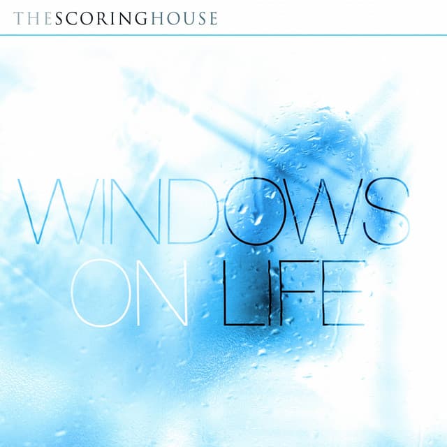 Windows On Life - Paul Reeves