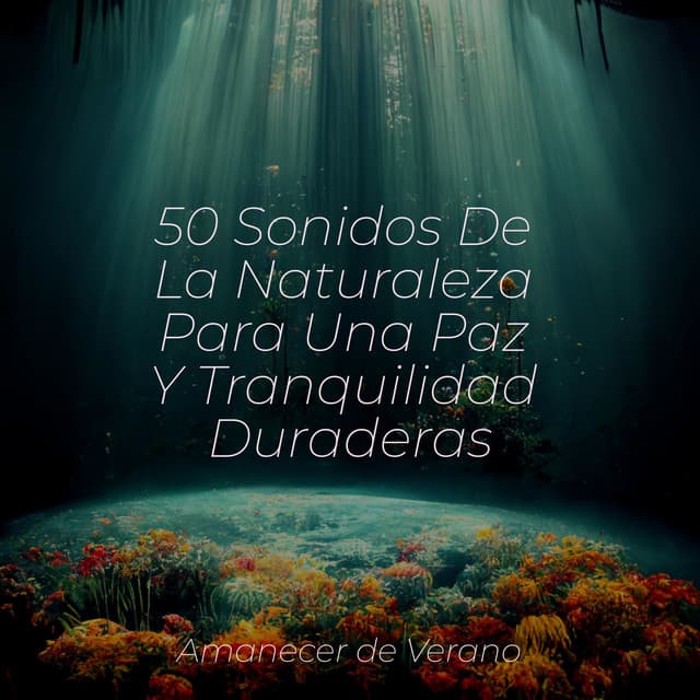 50 Sonidos De La Naturaleza Para Una Paz Y Tranquilidad Duraderas - Sleep Baby Sleep