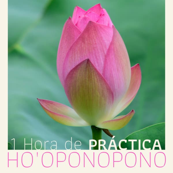 1 Hora de Práctica Ho'oponopono - Meditación del Perdón y Sanación - Meditación Maestro