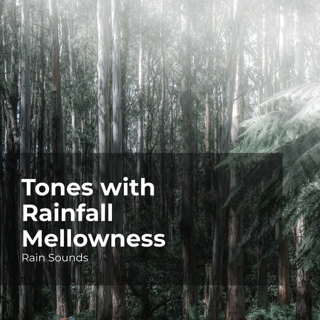 Tones with Rainfall Mellowness - Rain Sounds