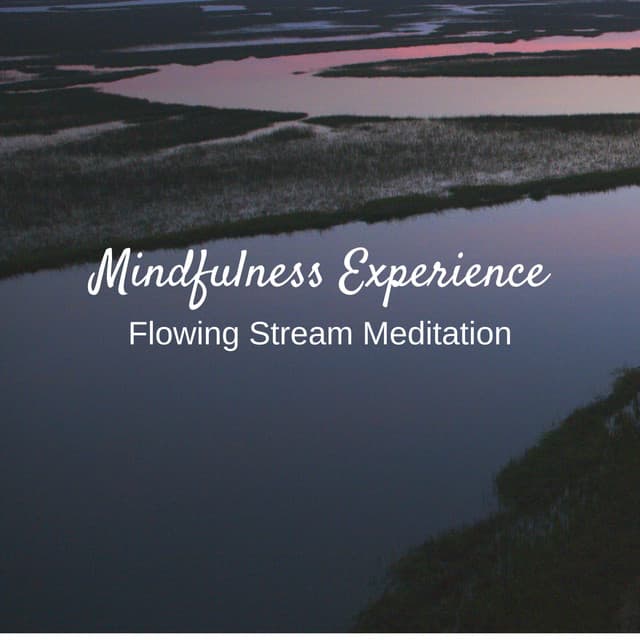Mindfulness Experience: Flowing Stream Meditation - Meditation and Relaxation