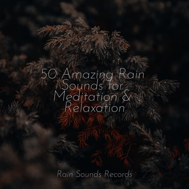 50 Amazing Rain Sounds for Meditation & Relaxation - Rain Sound Studio