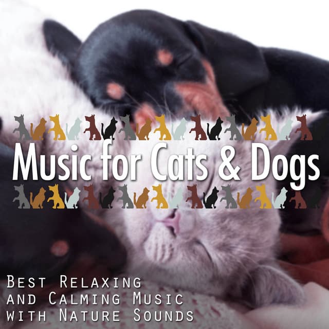 Music for Cats & Dogs: Best Relaxing and Calming Music with Nature Sounds - Dog Whisper