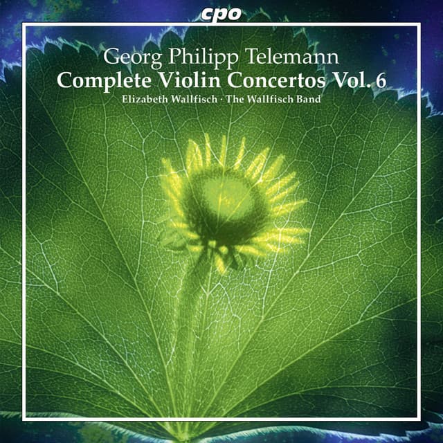 Telemann: Complete Violin Concertos, Vol. 6 - Georg Philipp Telemann