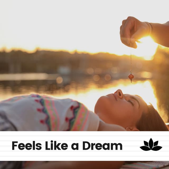 Feels Like a Dream - Music Body and Spirit