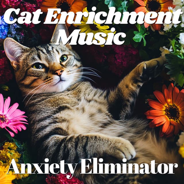 Cat Music Zone