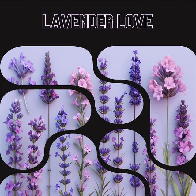 Lavender Love - Floral Health - HerBaLance
