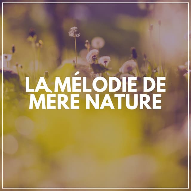 La mélodie de Mère Nature - Sons de la nature