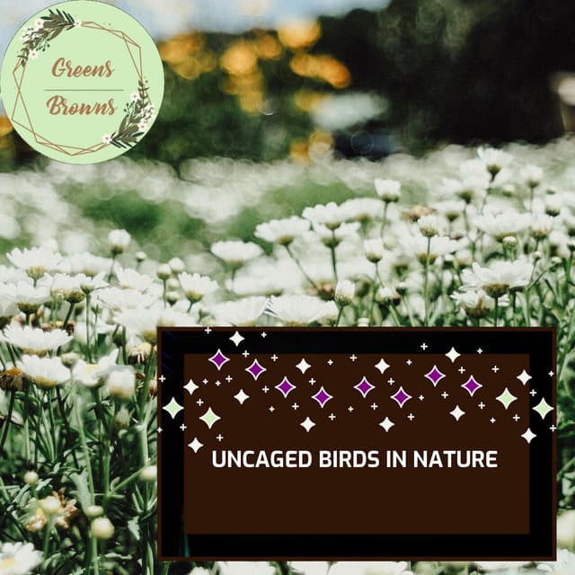 Uncaged Birds in Nature - Calm Music