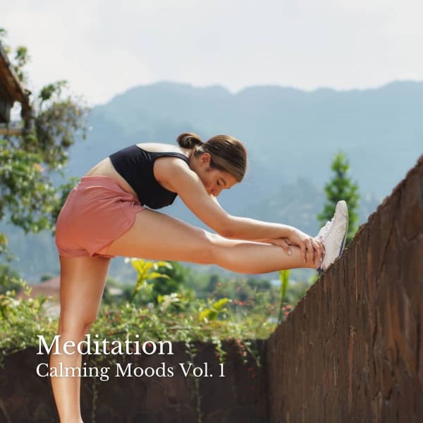 Meditation: Calming Moods Vol. 1 - Songs for Dogs to Sleep To
