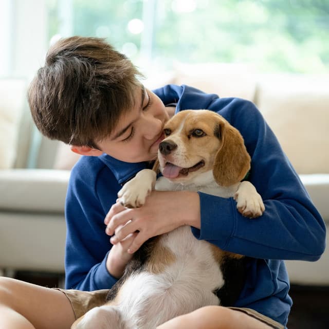 Loving Pet Pawprints: Lofi Melodies of Togetherness - Lazy Vibes