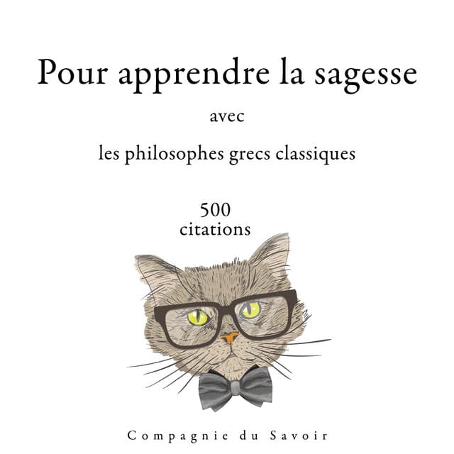 500 citations pour apprendre la sagesse avec les philosophes grecs classiques - Platon
