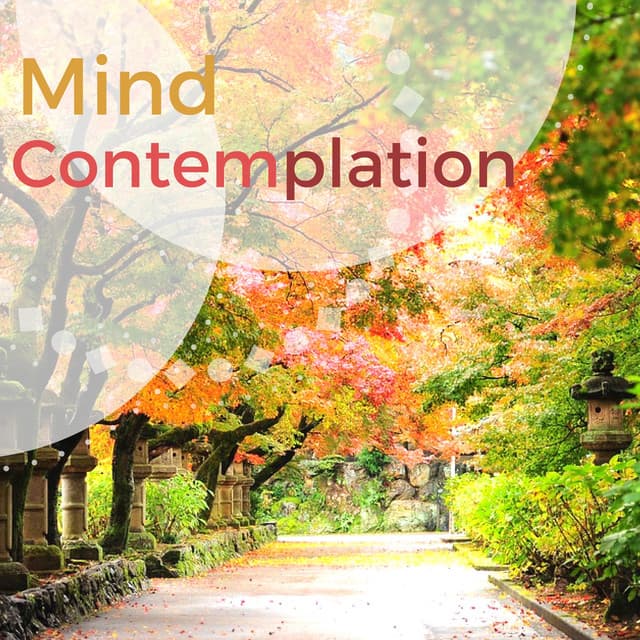 Mind Contemplation - Powerful Music Loops for Chakra Balancing Meditations & Relaxation - Mind Relax Ensemble