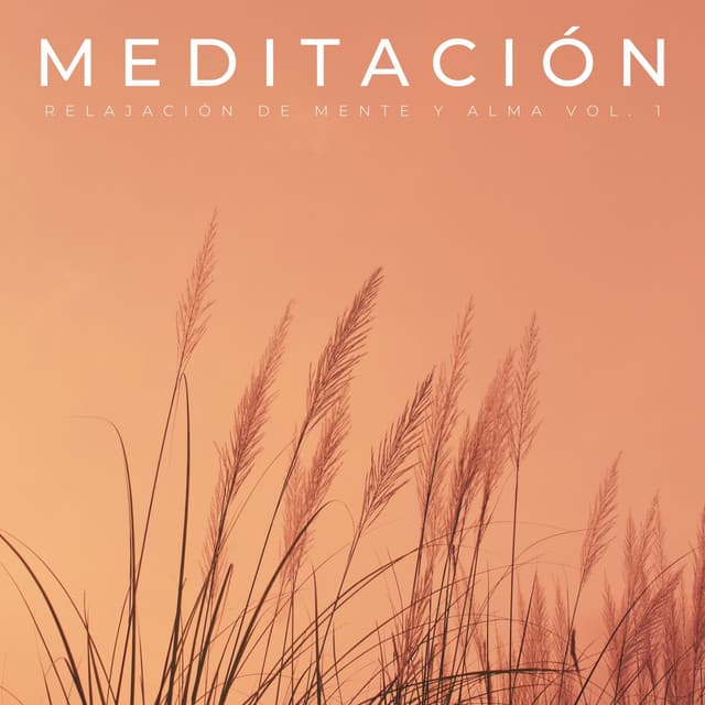 Meditación: Relajación De Mente Y Alma Vol. 1 - Relajación de la meditación del sueño