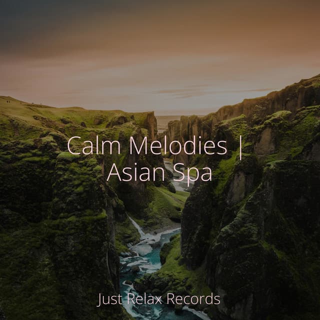 Calm Melodies | Asian Spa - Musica para Meditar