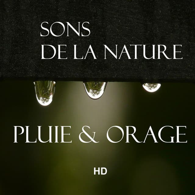 Pluie & Orage - Sons de la nature