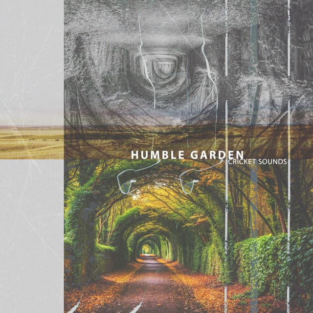 Humble Garden - Cricket Sounds