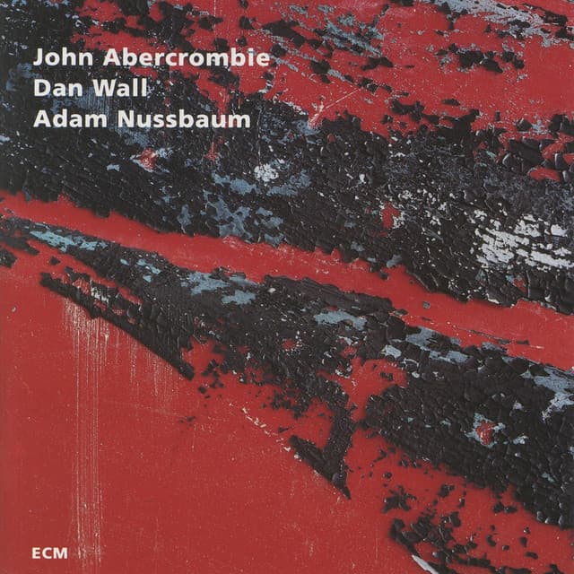 While We're Young - John Abercrombie