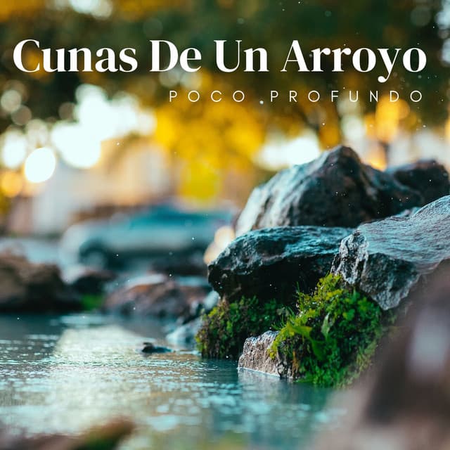 Cunas De Un Arroyo Poco Profundo - Corrientes de sueños