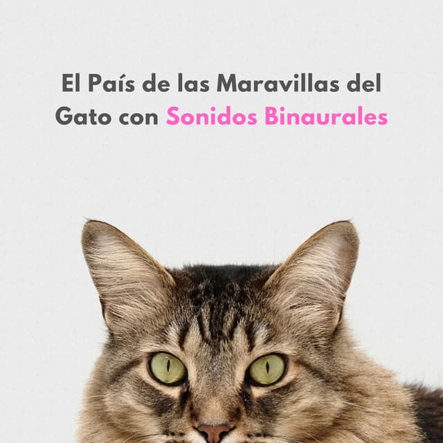 El País De Las Maravillas Del Gato Con Sonidos Binaurales - Ondas Alfa Puras