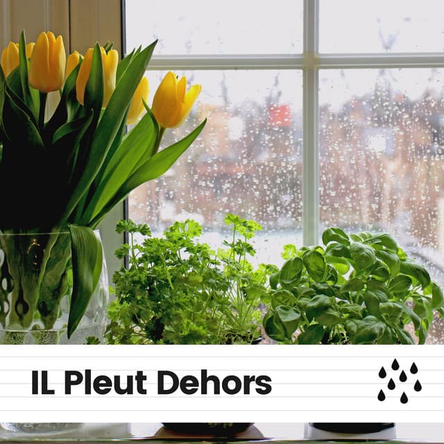 IL Pleut Dehors - Pluie et tonnerre