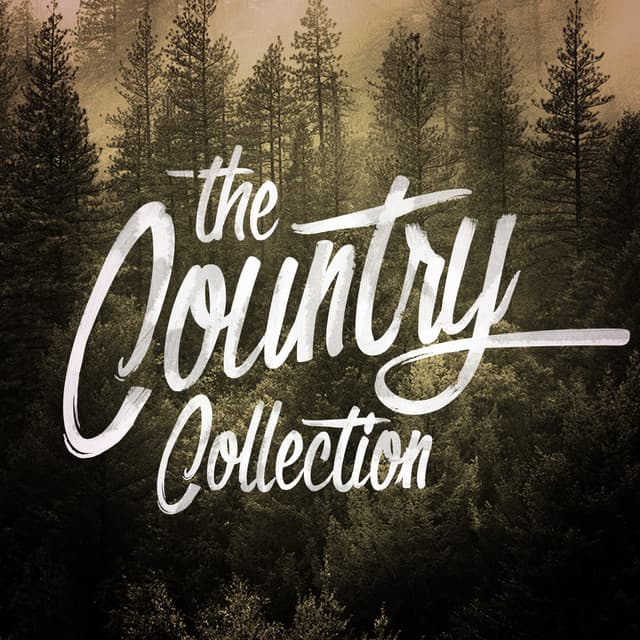 The Country Collection - American Country Hits