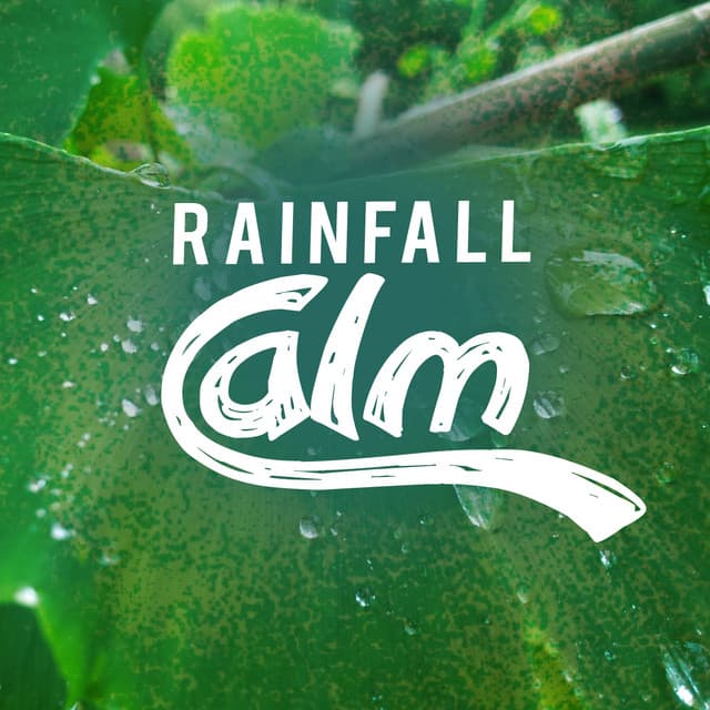 Rainfall Calm - Relaxing Sounds of Rain Music Club