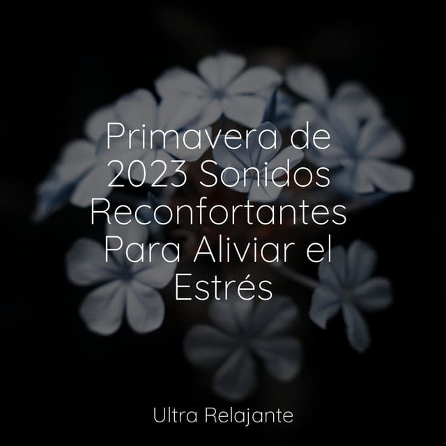 Primavera de 2023 Sonidos Reconfortantes Para Aliviar el Estrés - Musica para Dormir Dream House