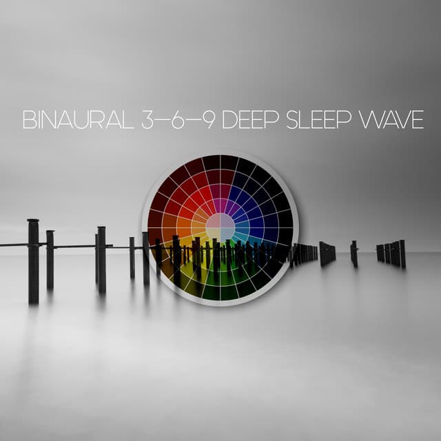 Binaural 3-6-9 Deep Sleep Wave - Binaural Fragment
