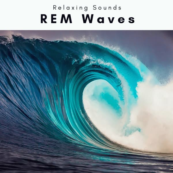 1 REM Waves - Sleep Tech