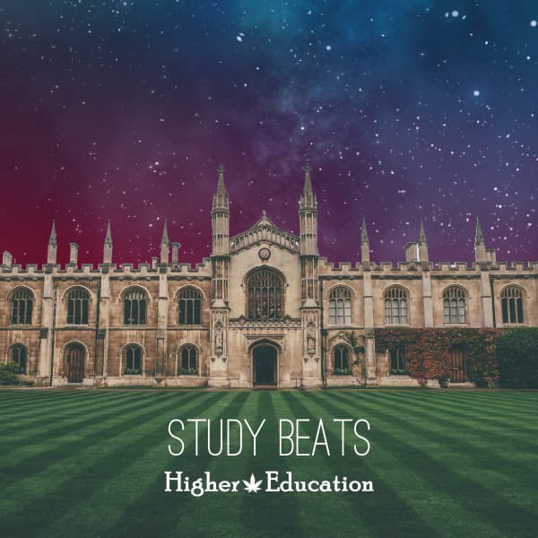 Higher Education - Study Beats