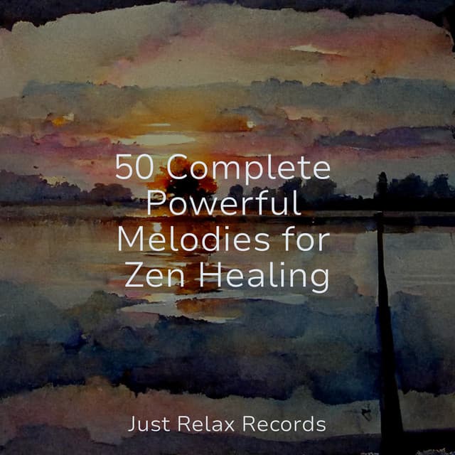 50 Complete Powerful Melodies for Zen Healing - Spa & Spa