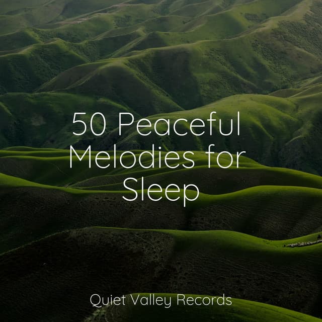 50 Peaceful Melodies for Sleep - Best Kids Songs