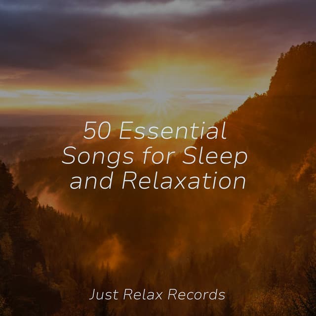 50 Essential Songs for Sleep and Relaxation - Easy Sleep Music