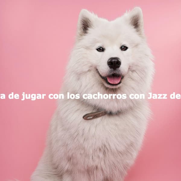La hora de jugar con los cachorros con Jazz de fondo - Cool Cats 1940s Jazz