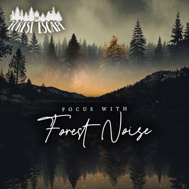 Focus With Forest Noise - The Forest Escape