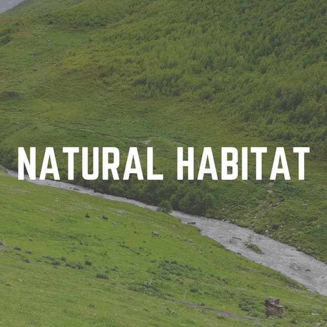 Natural Habitat - Mother Nature Recordings