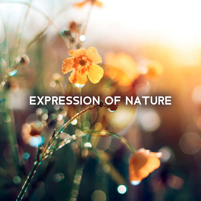 Expression of Environment - Jane Maitri