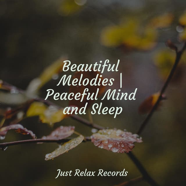 Beautiful Melodies | Peaceful Mind and Sleep - Sonido Del Bosque y Naturaleza