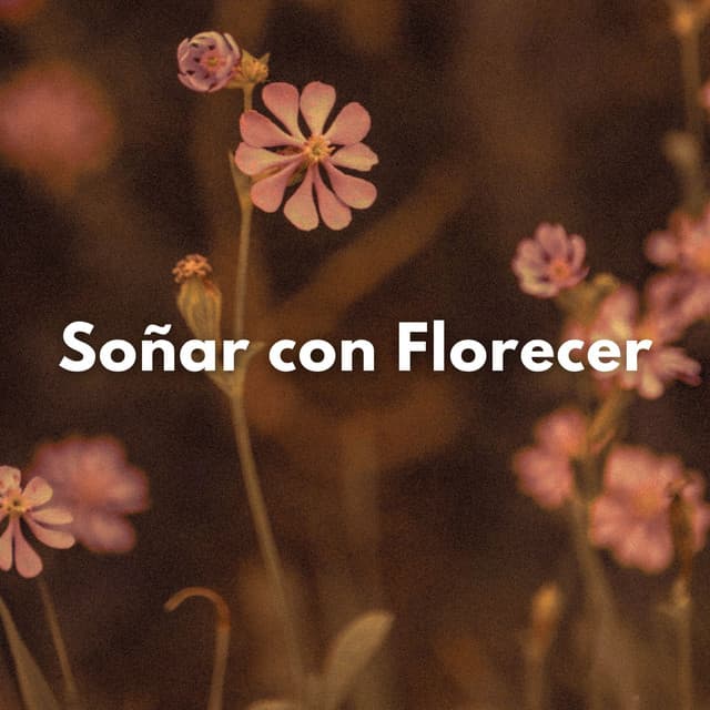 Soñar Con Florecer - La biblioteca al aire libre