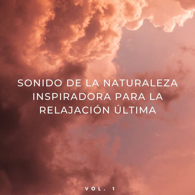Sonido De La Naturaleza Inspiradora Para La Relajación Última Vol. 1 - NatuREM