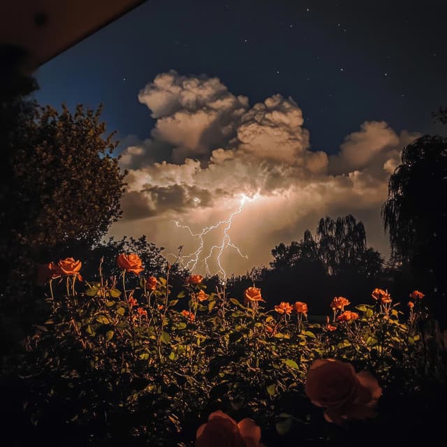 Weather Sounds