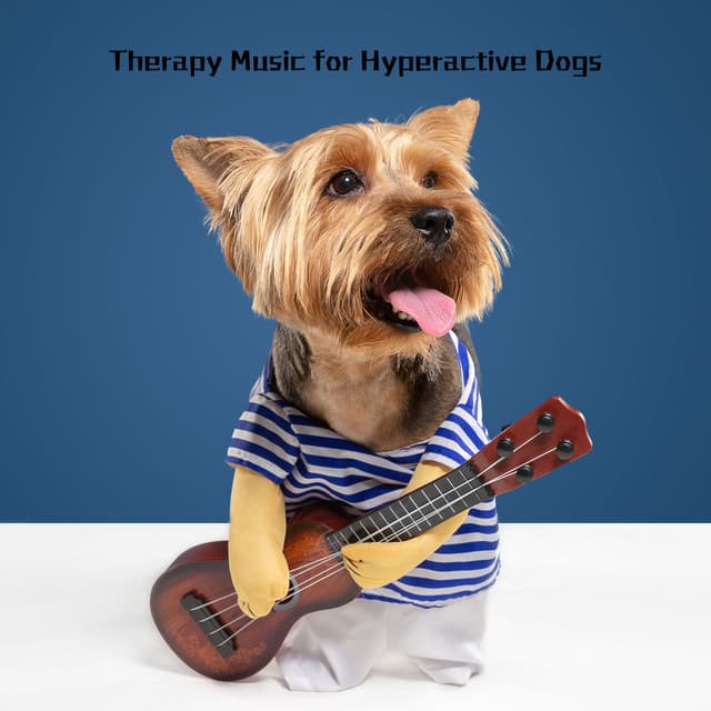 Therapy Music for Hyperactive Dogs: Behaviorist Techniques - Dogs Therapy
