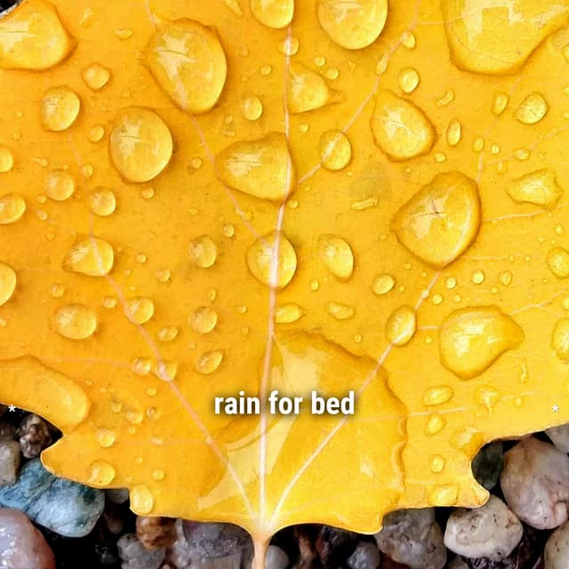 * rain for bed * - Ambient Rain